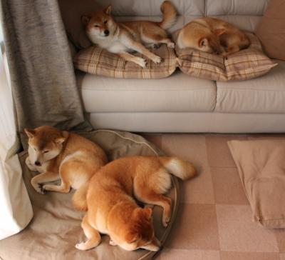 德罗赞化身救世主,火箭逆袭开拓者的背后关键先生