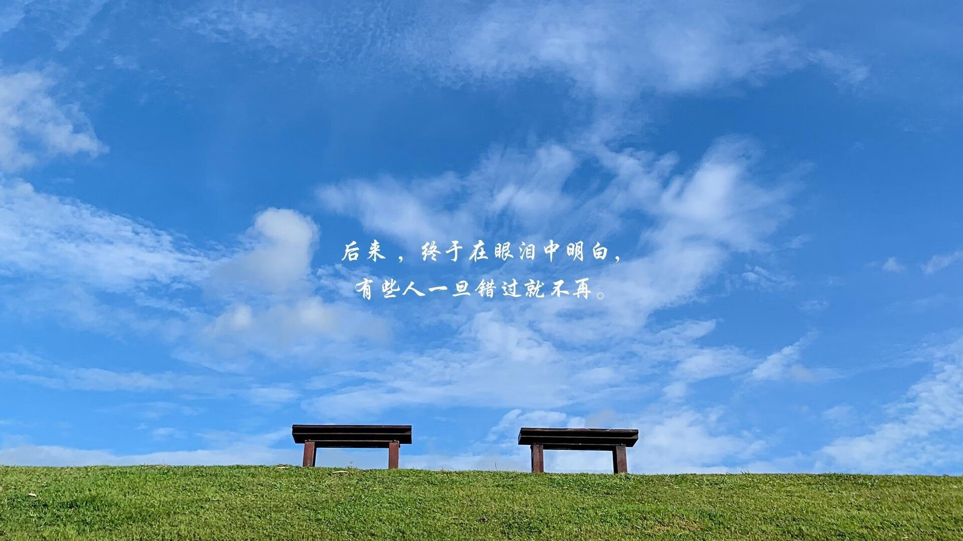 乌式逆袭，萨卡终场绝杀，乌克兰险胜突尼斯的惊险逆袭