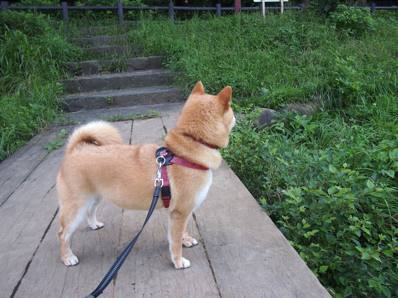 尘埃落定,传奇之夜,委内瑞拉提前终结悬念,巴雷拉铸就百场里程碑