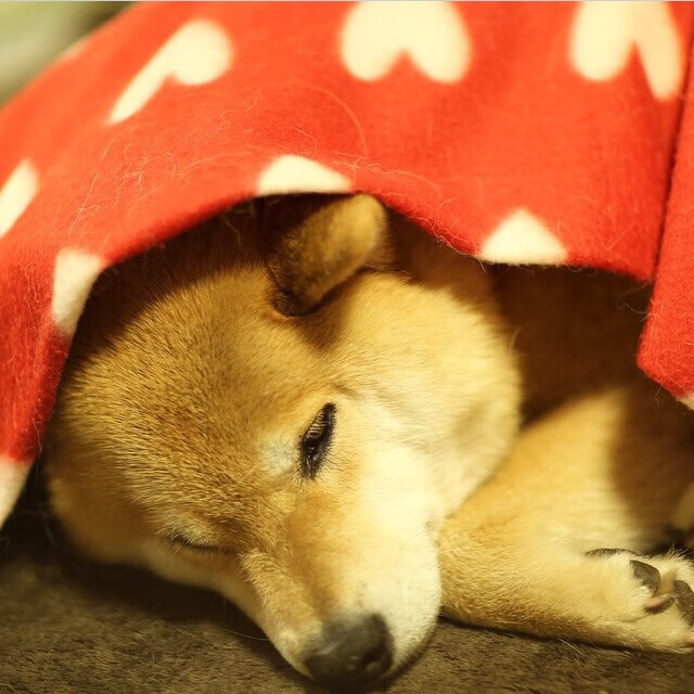 尘埃落定,传奇之夜,委内瑞拉提前终结悬念,巴雷拉铸就百场里程碑