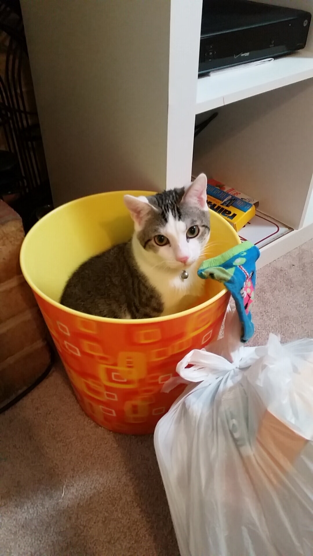 时间裂隙中的红黑战神，当阿劳霍在另一个宇宙的欧冠决赛接管了米兰与利物浦的宿命之战