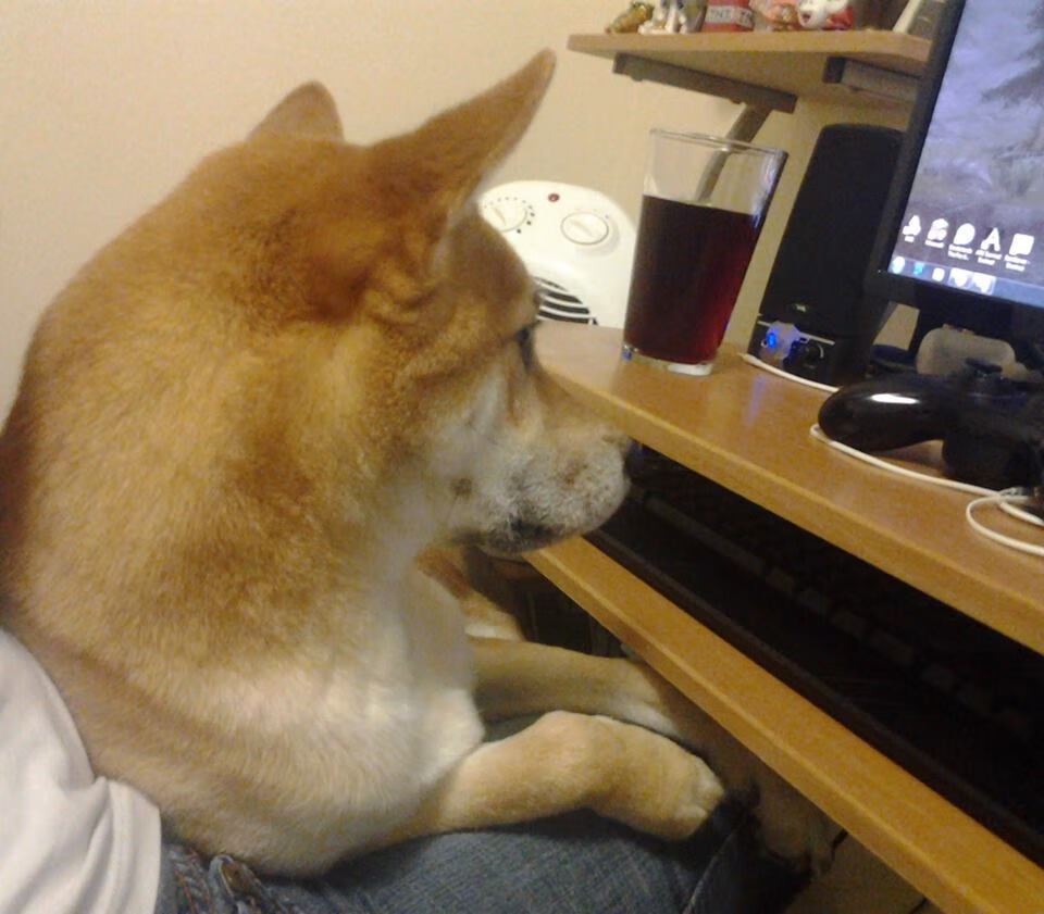 末节狂澜掘金魂!新疆飞虎‘借’约基奇逆转雄鹿