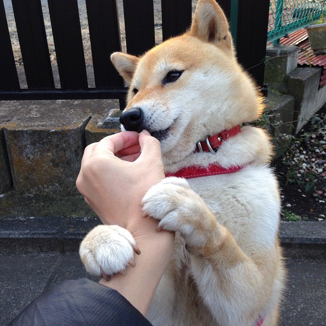 王子公园的闪电,基耶萨一击刺穿雄狮,巴黎从圣马梅斯带走毕尔巴鄂