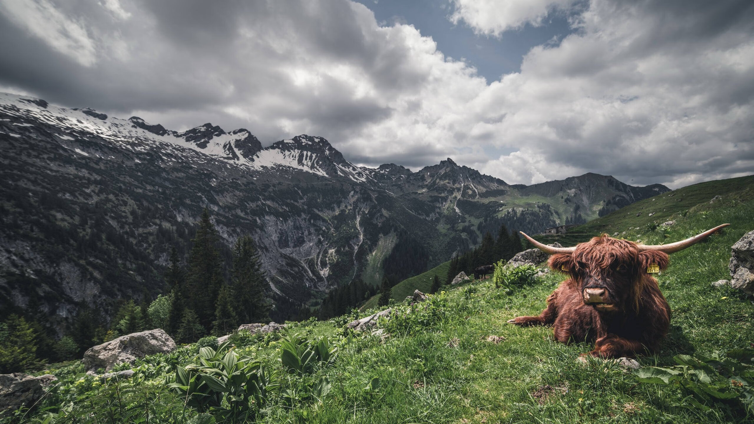 英格拉姆提前审判，当第四节沦为他的独角戏