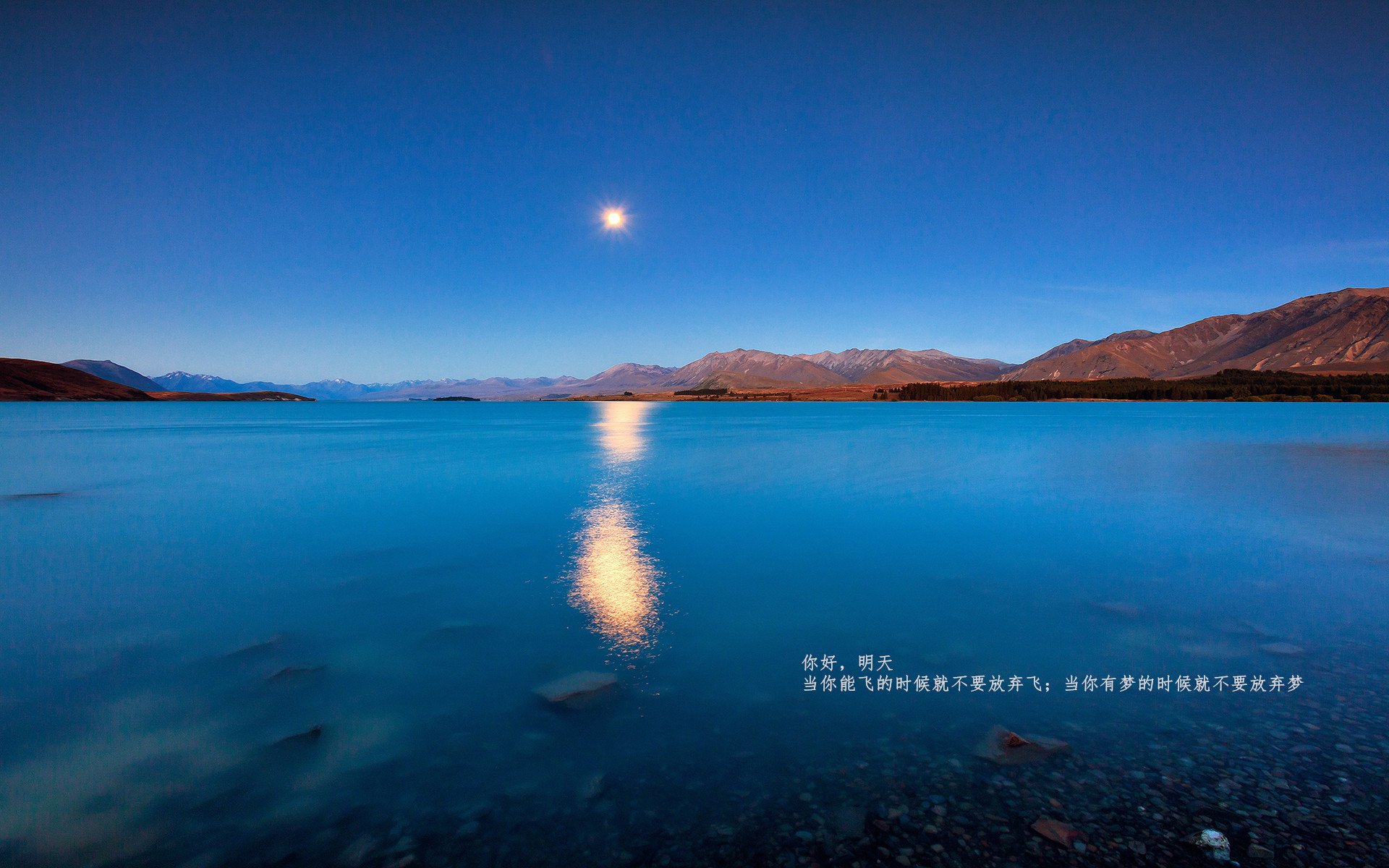 舞台的魔力,福克斯越大越强,浙江队生死战逆转魔术