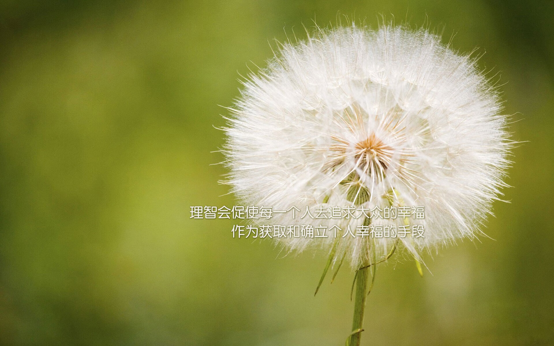 季后赛抢七之夜，霍勒迪的冰与火的交响诗，尘埃里的领袖风骨