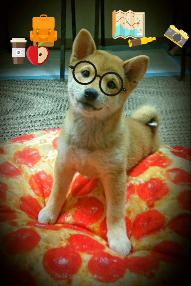 一场时间差的奇迹，当CBA快攻遇上意甲远射，体育在错位中校准永恒