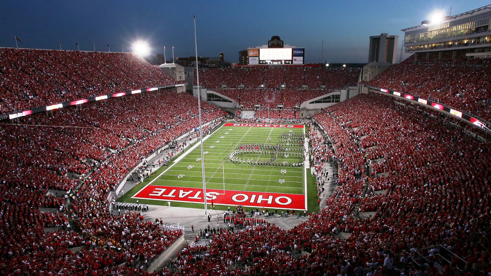 坚毅，刻在基因里的胜利法则