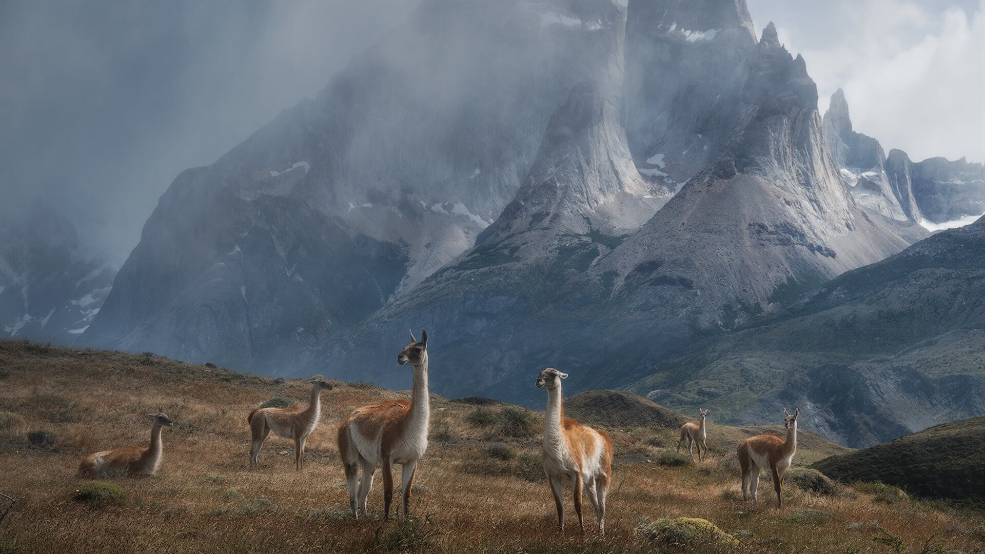 佩德里闪电破门，国际米兰3-0速胜哥斯达黎加，关键先生引领胜利风暴