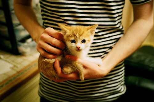 当篮球巨星降临绿茵场，英超争冠夜的跨维度统治