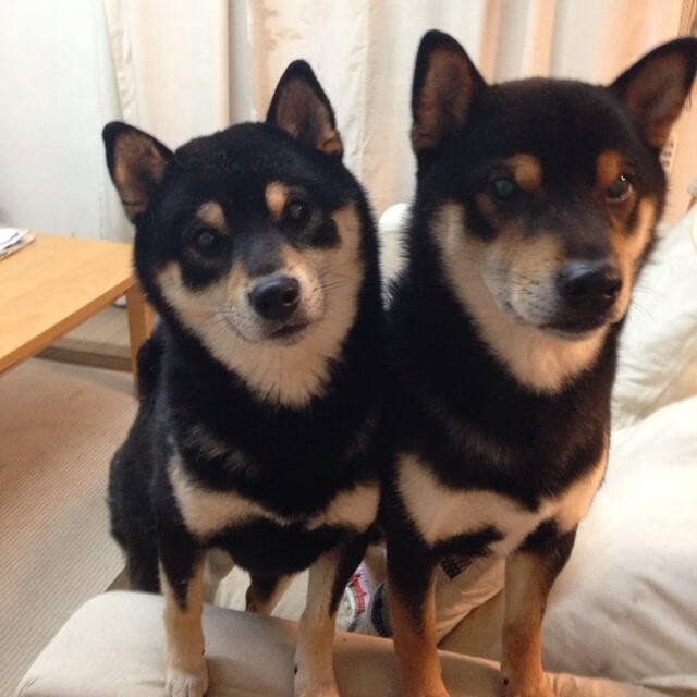 洪都拉斯连击风暴压制瑞典，京多安全场统治演绎经典之战