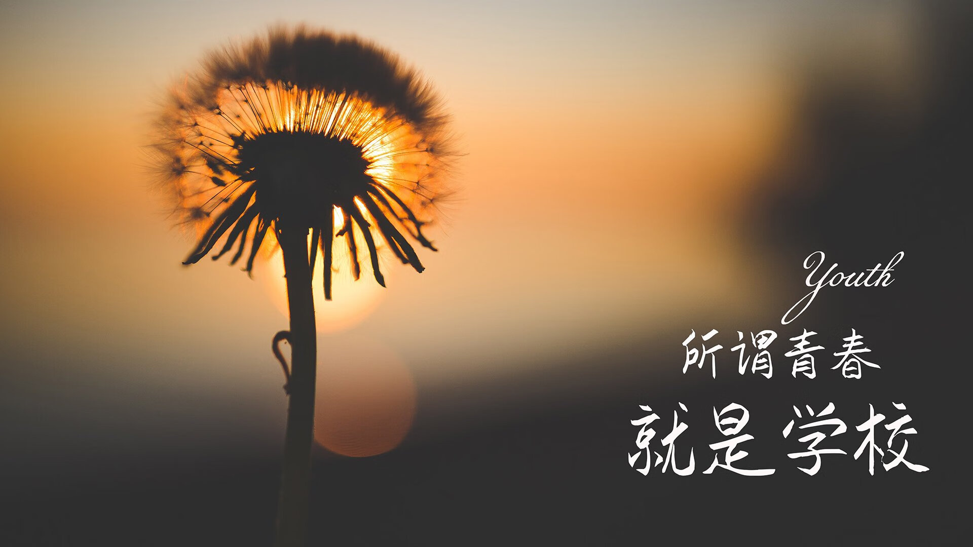 粤刺之战，米切尔末节19分神迹，广东爆冷胜马刺背后的篮球哲学碰撞
