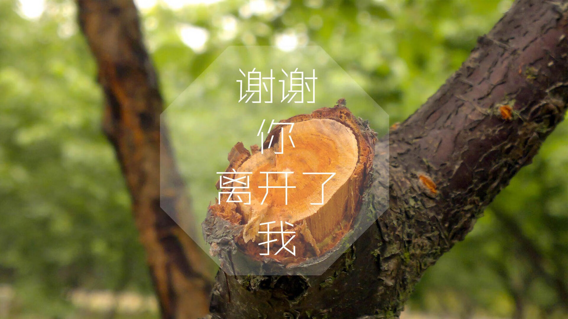 这是一篇为您定制的文章,标题和内容都紧扣唯一性,将表面看似不合理的穆西亚拉元素巧妙嵌入墨西哥 vs 乌兹别克斯坦的焦点战中,打造出一个充满戏剧性与想象力的体育叙事